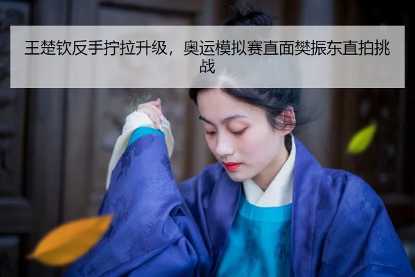 wang-chu-qin-fan-shou-ning-la-sheng-ji-ao-yun-mo-ni-sai-zhi-mian-fan-zhen-dong-zhi-pai-tiao-zhan-2-839.jpg