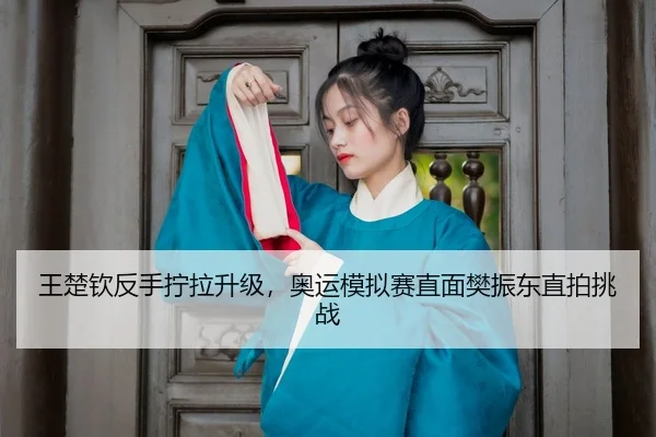 wang-chu-qin-fan-shou-ning-la-sheng-ji-ao-yun-mo-ni-sai-zhi-mian-fan-zhen-dong-zhi-pai-tiao-zhan-3-793.jpg