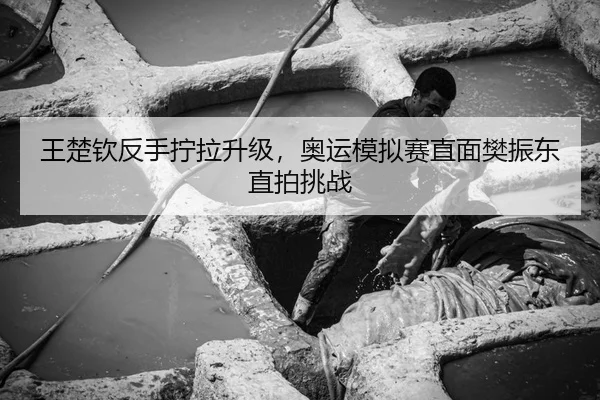 王楚钦反手拧拉升级，奥运模拟赛直面樊振东直拍挑战