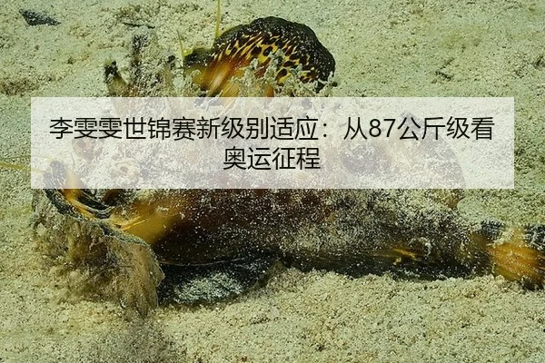 李雯雯世锦赛新级别适应：从87公斤级看奥运征程